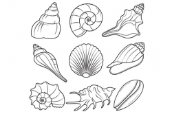 seashell clipart black and white 1 | Clipart Station