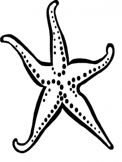 Fish black and white starfish clipart black and white free ...