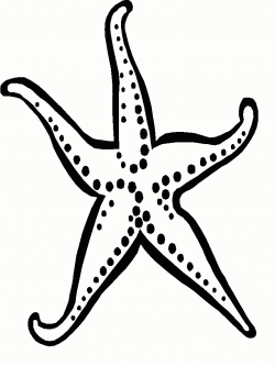 Starfish Clipart Black And White - Letters