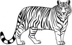 black and white tiger clipart tiger clip arts images free download ...