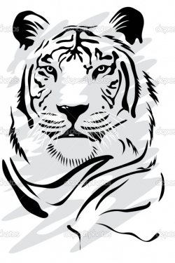 dep_2275069-White-tiger.jpg (682×1024) | Clip art | Pinterest ...