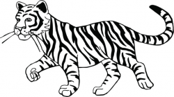 Black and white tiger clipart clip art library - Clipartix
