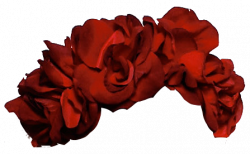 15 Red flower crown png for free download on mbtskoudsalg