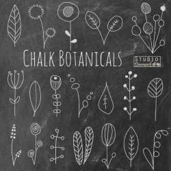 Chalkboard Flower Doodles Clipart - 