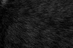 Blanket Design : Dark Textures Clipart Black Blanket 13 Black Fuzzy ...