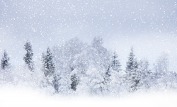 Free Winter Snowstorm Cliparts, Download Free Clip Art, Free ...
