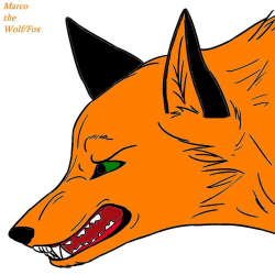 Marco the Fox:Fierce by Frost-of-Blizzard on DeviantArt