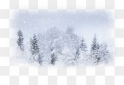 Winter storm Blizzard Snow Clip art - storm png download - 2000*2000 ...
