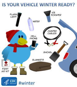 Preparedness Checklists|Winter Weather