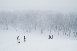 People walking in a snow blizzard - Piviso free photo