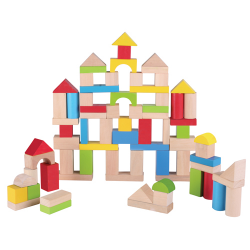 75pc Color and Natural Building Blocks