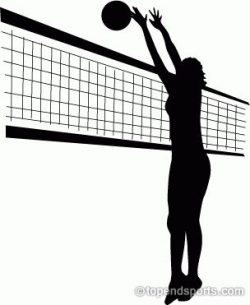 30 best Volleyball images on Pinterest | Volleyball ideas ...