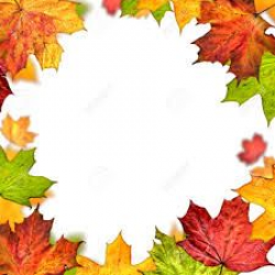 Fall Leaves Border Free Clip Art | Autumn leaves on white background ...