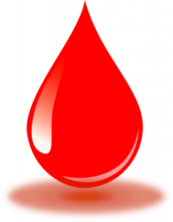 Real Red Blood Drop Clip Art at Clker.com - vector clip art online ...