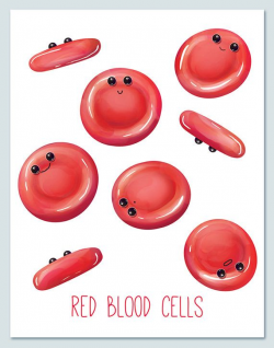 Red Blood Cells / Wall art print / biology / cute / fun / | Art ...