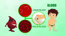 Blood - Human Body Parts In Tamil - Pre School - Animated Videos For ...