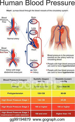 Vector Art - Human blood pressure. EPS clipart gg99194879 - GoGraph