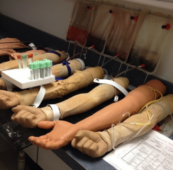 91 best All Things Phlebotomy images on Pinterest | Medical science ...