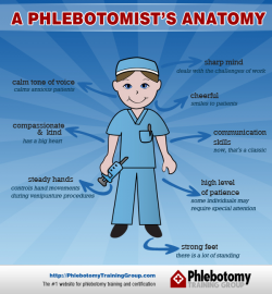 What does a phlebotomist do and what are his/her main duties?
