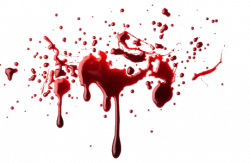 15 Pool of blood png transparent for free download on mbtskoudsalg