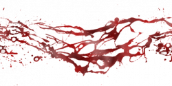 Blood trail png