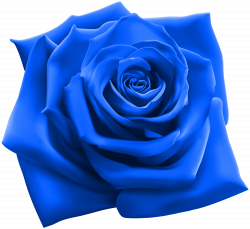 Blue Rose PNG Clipart Image | Gallery Yopriceville - High-Quality ...