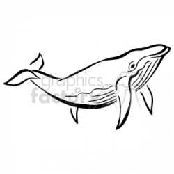 Royalty-Free Black and white blue whale 129514 vector clip art image ...