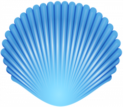 Blue Seashell Transparent PNG Clip Art Image | Gallery Yopriceville ...