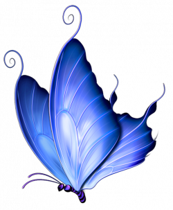 Transparent Blue Deco Butterfly PNG Clipart | Gallery Yopriceville ...