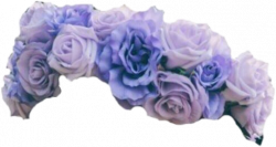 flower crown flowercrown tumblr lilac edit png transpar...