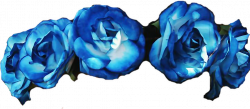 flowers roses flowercrown diadem blue...