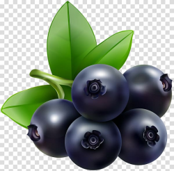 Blueberry Bilberry Food , blueberries transparent background ...