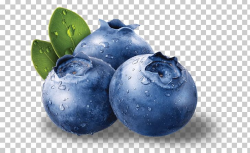 Blueberry Bilberry Fruit Antioxidant Seed PNG, Clipart ...