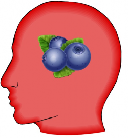 Blueberries May Preserve Brain Health: How A New Study Affects You ...