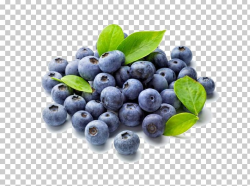Blueberry Fruit Food Antioxidant Shrub PNG, Clipart ...
