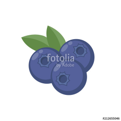 Blueberries with leaf vector icon. Blueberry icon clipart ...