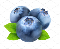 Three blueberries isolated ~ Food & Drink Photos ~ Creative Market