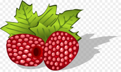 Blue raspberry flavor Clip art - blueberry png download - 2399*1414 ...
