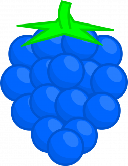 Image - Blue Raspberry.png | The Object Battle Worldness Wiki ...