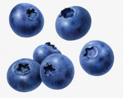 Blueberry, Blue, Raspberry PNG Image and Clipart for Free Download