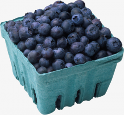 Basket Of Blueberries, Blueberry, Hand Painted, Fruit PNG Image and ...