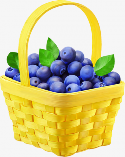 Basket Of Blueberries, Blueberry, Fruit, Blue PNG Image and Clipart ...