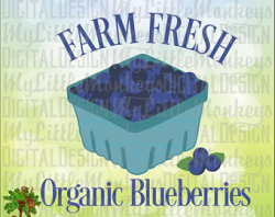 Blueberries svg | Etsy