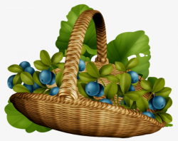 Blueberry Basket, Basket, Blueberry, Fruit PNG Image and Clipart for ...