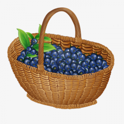 A Basket Of Blueberries, Leaves, Hand Painted, Material PNG Image ...