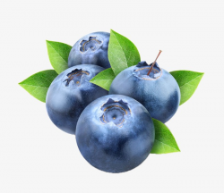 Blueberries Delicate Png Image, Blueberry Png, Fruit, Round PNG ...