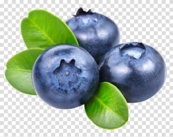 Blueberry fruit, Smoothie Frutti di bosco Blueberry ...