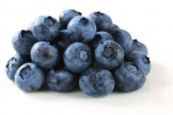 Blueberries for Commercial Growers | Blueberry Plant Genetics