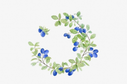 Flowers Border, Watercolor Leaves, Blueberry, Small Fresh PNG Image ...
