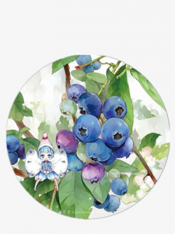 Blueberry, Illustration, Color, Decoration PNG Image and Clipart for ...